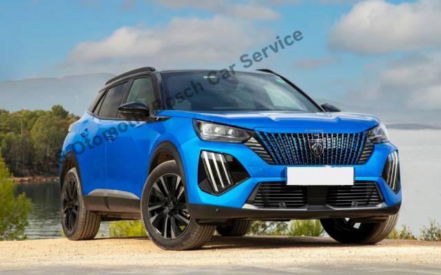 Peugeot Motor Performansında Düşüş Varsa Ertelemeyin